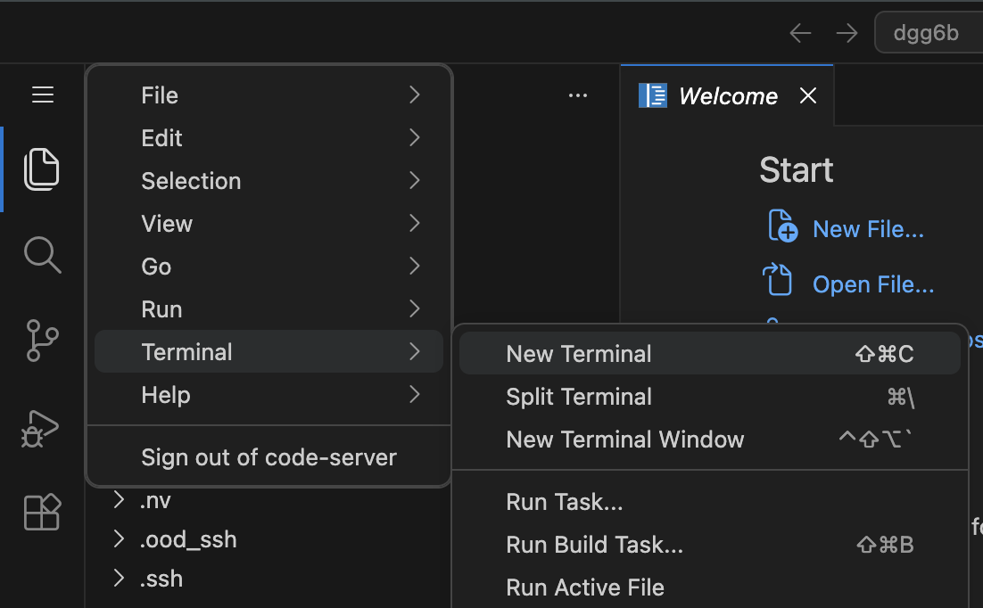 Code Server File menu open with Terminal selected and the Terminal submenu showing New Terminal at the top